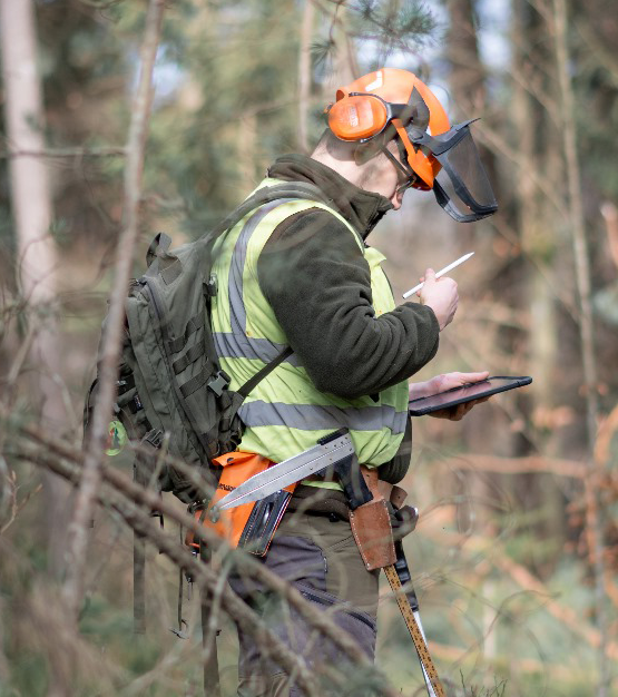 Jakub in forestry safety gear recording field data on a tablet in a forest